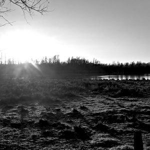 Coucher de soleil sur les marais d'Harchies en noir et blanc - Belgique  - collection de photos clin d'oeil, catégorie paysages